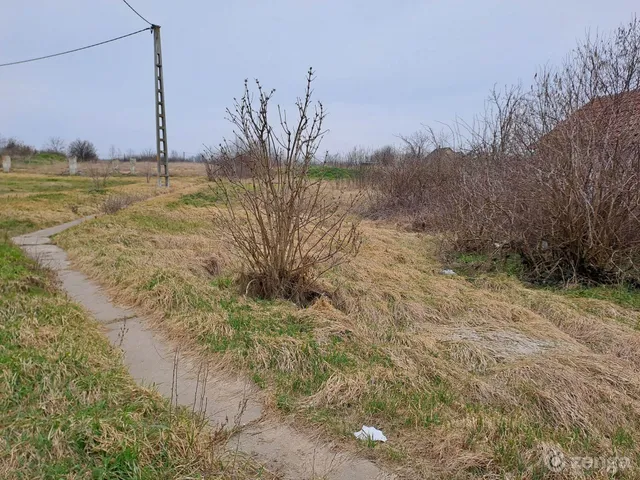 Eladó telek Egyek, Somogyi Béla utca 31 1159 nm