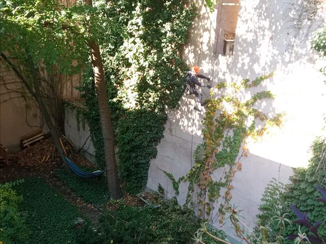Eladó lakás Budapest VII. kerület, Ligetváros, Nefelejcs utca 92 nm