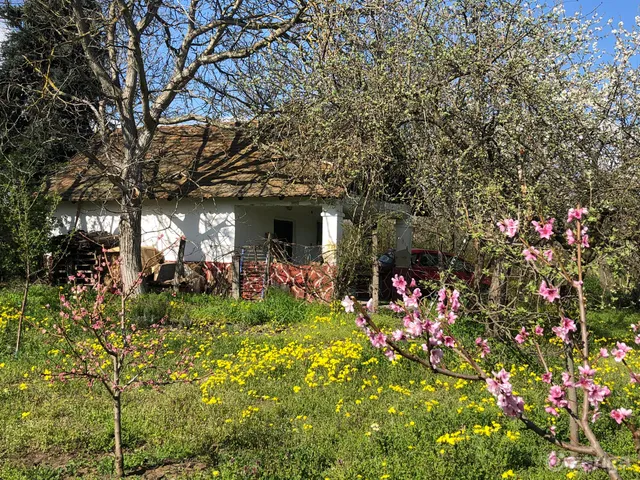 Eladó telek Csongrád 2274 nm