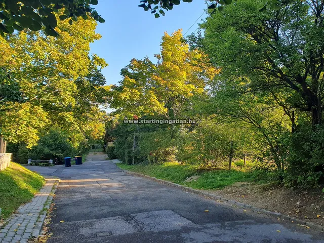 Kiadó telek Budapest XII. kerület, Kissvábhegy 3355 nm