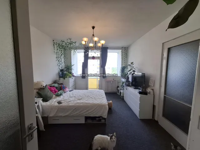 Eladó lakás Budapest X. kerület 71 nm