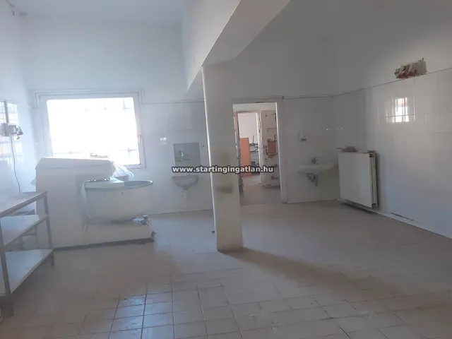 Eladó kereskedelmi és ipari ingatlan Vecsés, Andrássytelep 400 nm