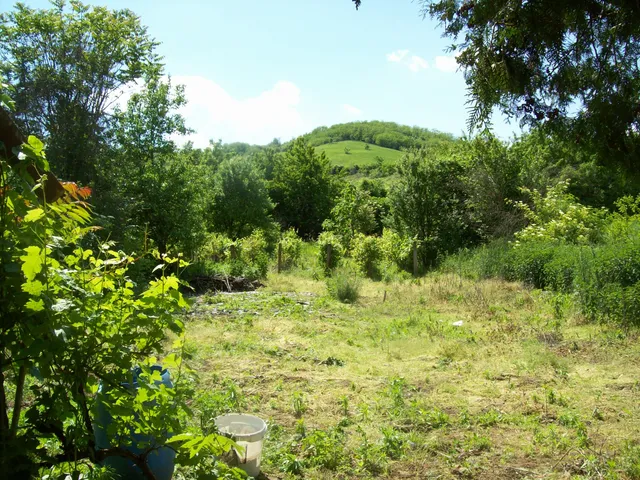 Eladó telek Tokaj 1278 nm