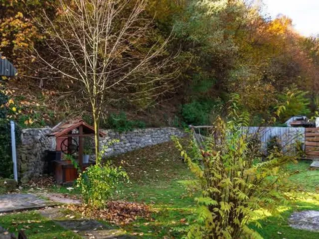 Eladó kereskedelmi és ipari ingatlan Nagyhuta 190 nm