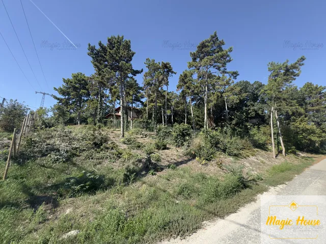 Eladó telek Diósd, Diósdliget 807 nm