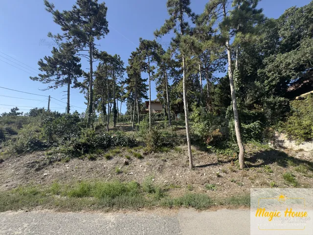 Eladó telek Diósd, Diósdliget 807 nm