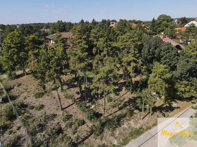 Eladó telek Diósd, Diósdliget 807 nm