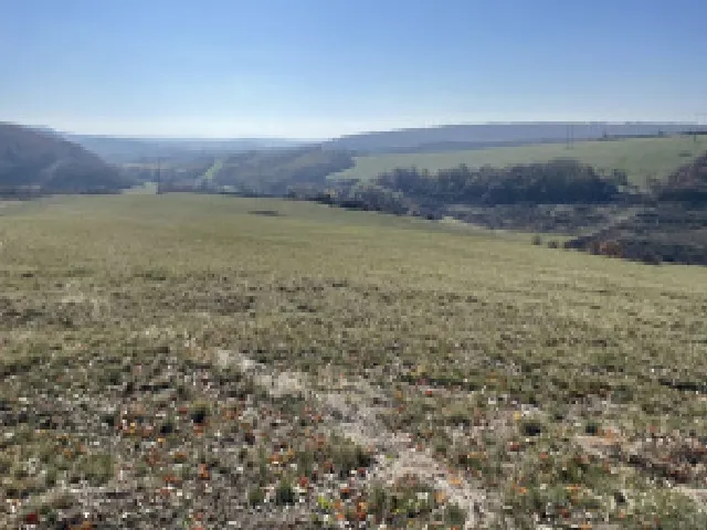 Eladó mezőgazdasági ingatlan Kosd 150000 nm