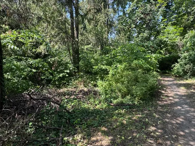 Eladó telek Dunakeszi, Kossuth u. 16 853 nm