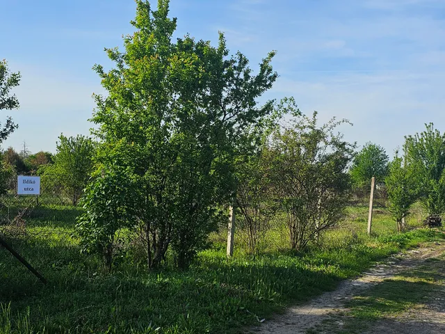 Eladó telek Besenyszög 800 nm