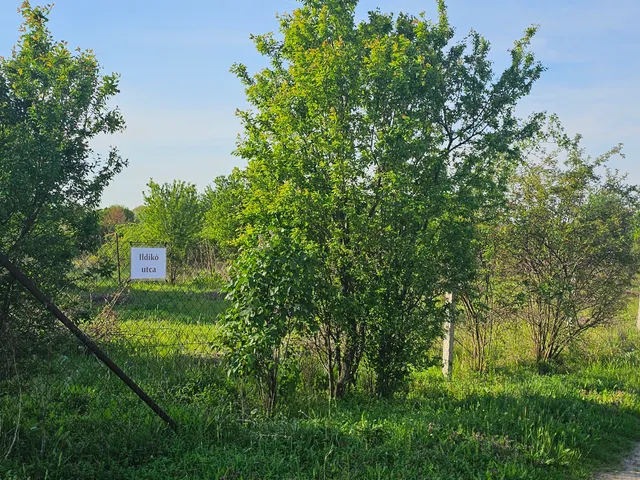 Eladó telek Besenyszög 800 nm