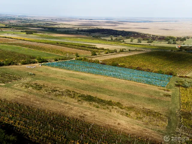 Eladó telek Sopron, Fertő tó mellett 10000 nm