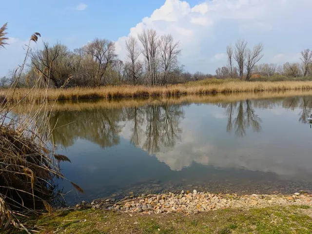 Eladó ház Dunaharaszti 84 nm