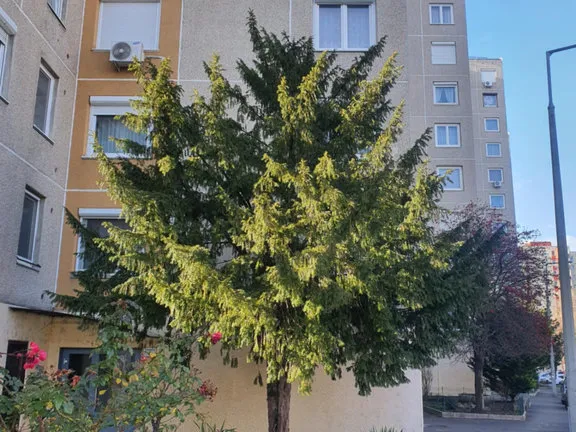 Eladó lakás Budapest XI. kerület, Gazdagrét 53 nm