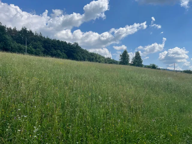 Eladó telek Szilvásvárad 2872 nm