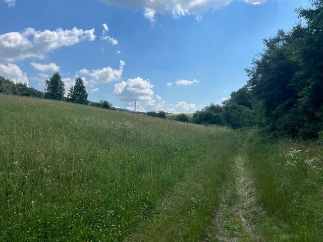 Eladó telek Szilvásvárad 2872 nm