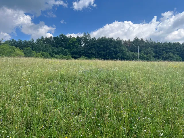 Eladó telek Szilvásvárad 2872 nm