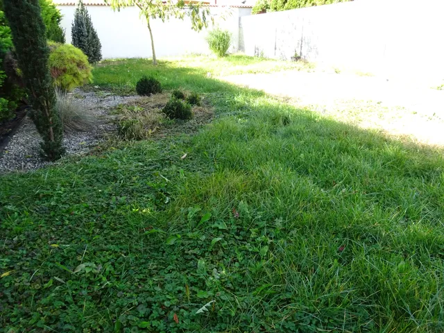 Eladó ház Sé 50 nm