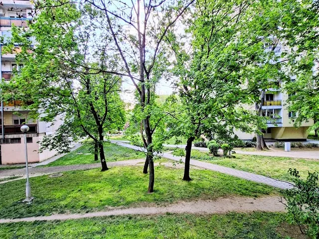 Eladó lakás Debrecen, Libakert, Viola utca 2. 54 nm