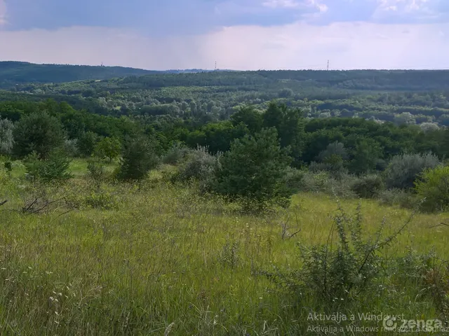 Isaszeg eladó üdülőtelek 10230 m² telekterületű: 58 millió Ft