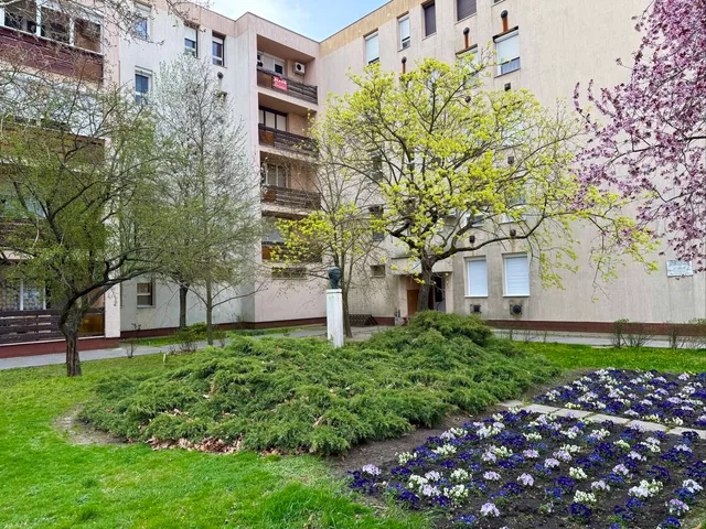 Eladó lakás Törökszentmiklós 53 nm