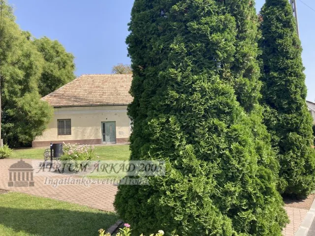 Eladó kereskedelmi és ipari ingatlan Pusztazámor 17000 nm