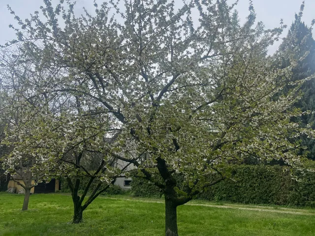 Eladó telek Érd 1750 nm