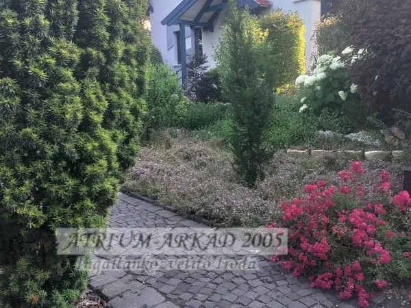 Eladó ház Zsámbék 214 nm