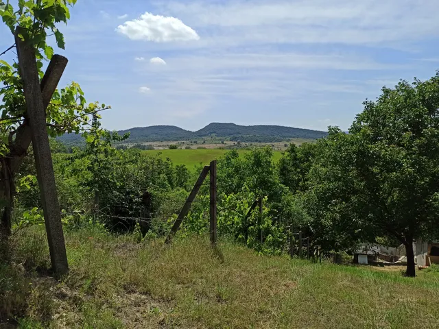 Eladó mezőgazdasági ingatlan Esztergom 1230 nm