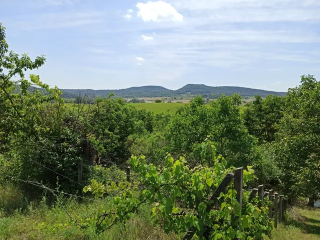 Eladó mezőgazdasági ingatlan Esztergom 1230 nm