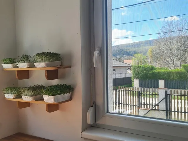 Eladó ház Pócsmegyer 160 nm