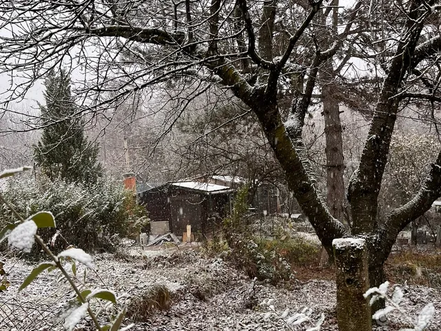 Eladó telek Budakeszi, Nagyszénászug 627 nm