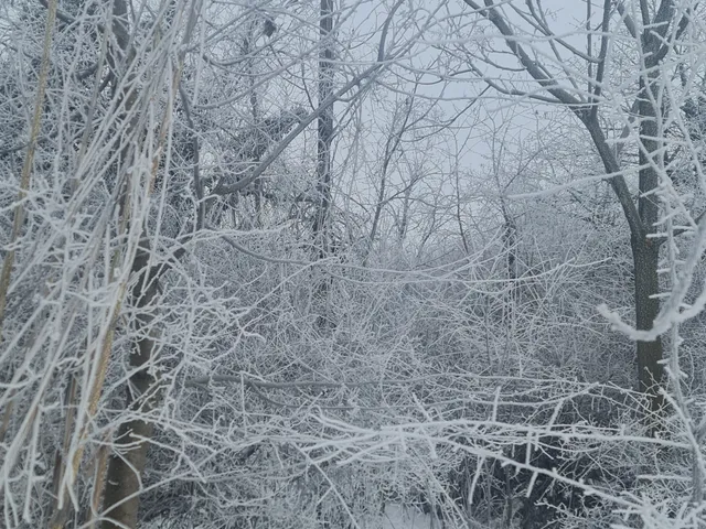 Eladó telek Füle, Polgárdi út 1314 nm