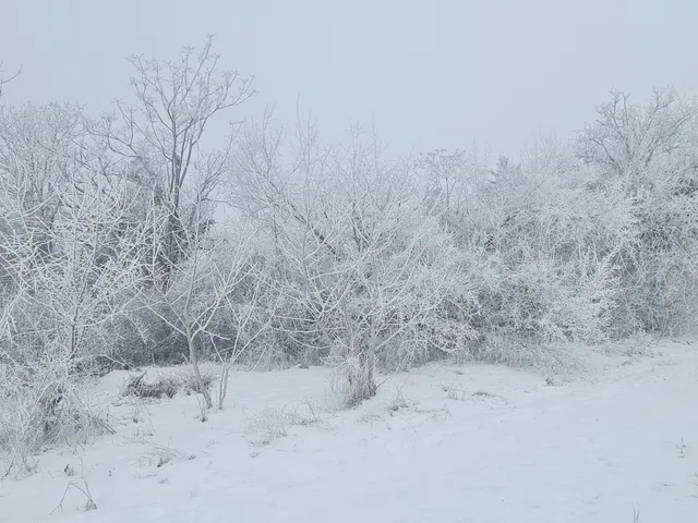 Eladó telek Füle, Polgárdi út 1314 nm