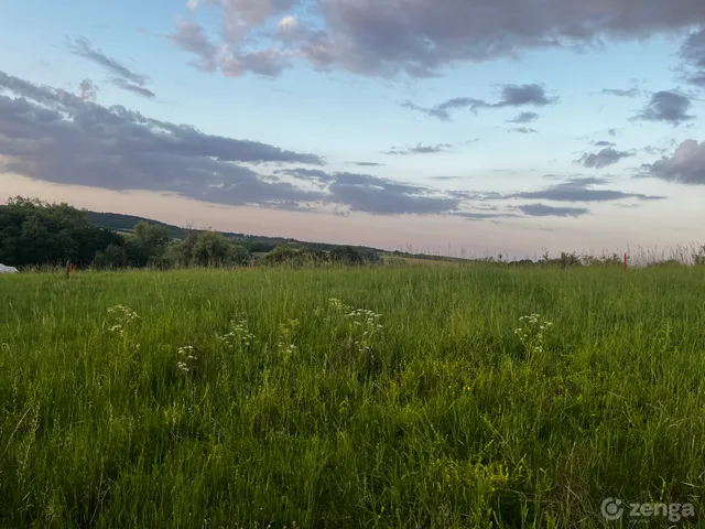 Eladó telek Nézsa, Domb utca 1160 nm