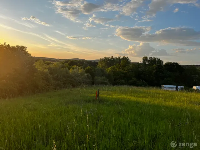 Eladó telek Nézsa, Domb utca 1160 nm