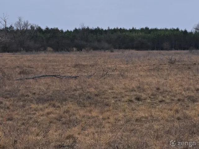 Eladó mezőgazdasági ingatlan Kiskunhalas, Rekettye 0 56000 nm