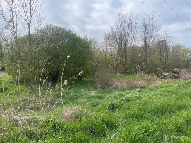 Eladó telek Balatonszemes, Kertalja 1008 nm