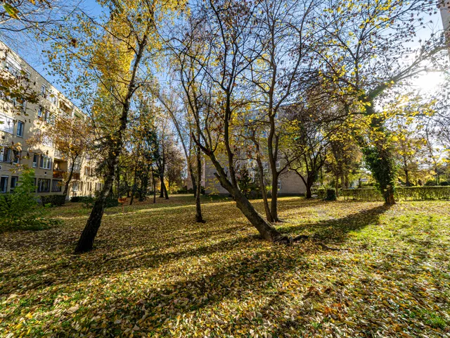 Eladó lakás Budapest X. kerület, Óhegy 49 nm