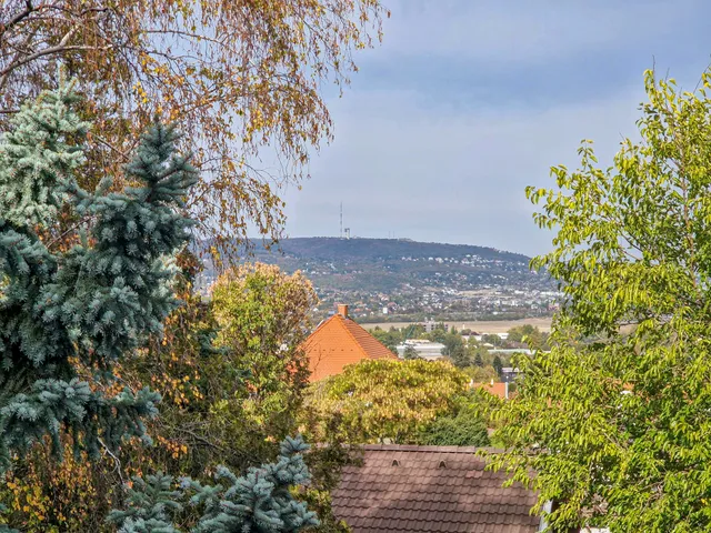 Eladó ház Budaörs, Budaörsi Kamaraerdő 256 nm