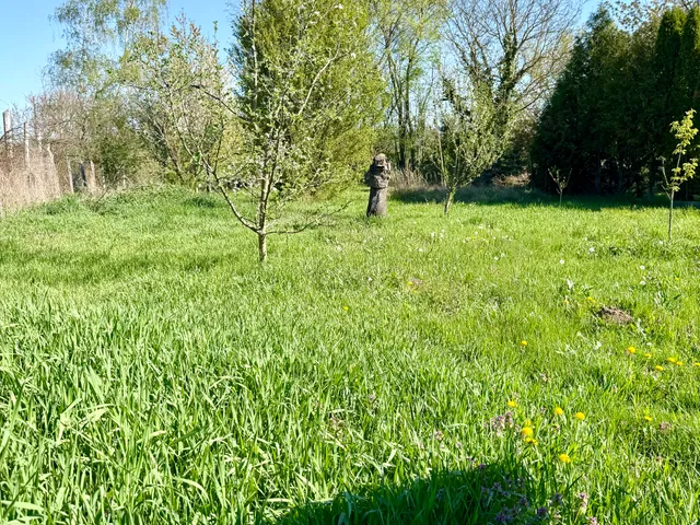 Eladó ház Bag, Csintovanyi utca 11 80 nm