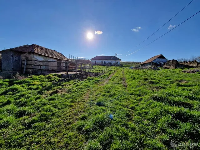 Eladó mezőgazdasági ingatlan Alsóvadász 26704 nm