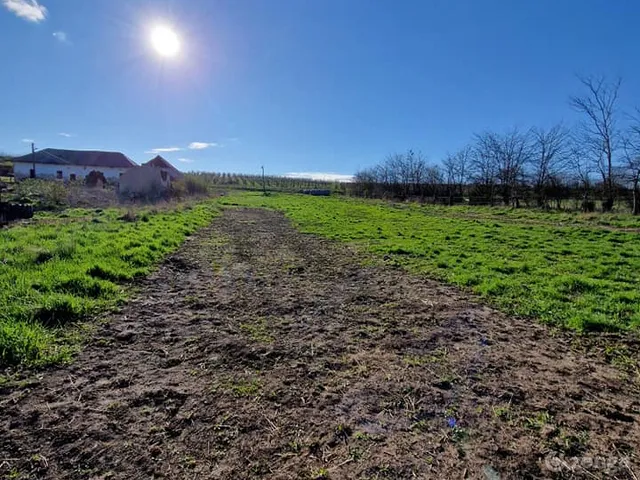 Eladó mezőgazdasági ingatlan Alsóvadász 26704 nm