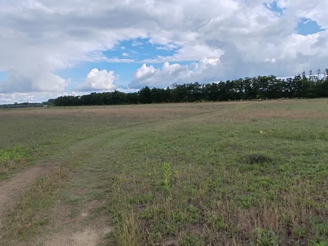 Eladó telek Kecskemét, Hetényegyháza 6000 nm