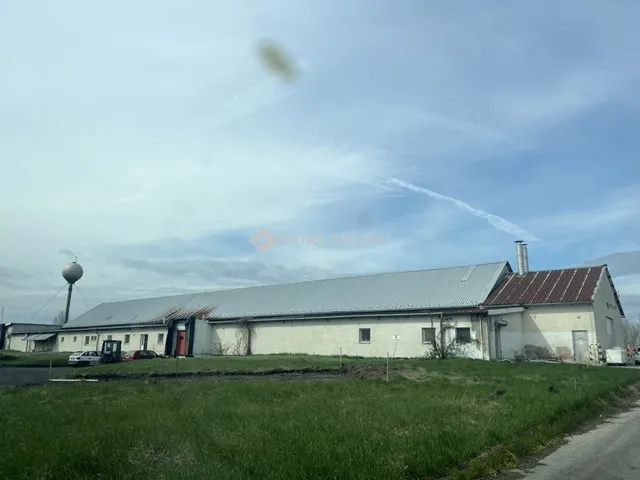 Eladó kereskedelmi és ipari ingatlan Martonvásár 3000 nm