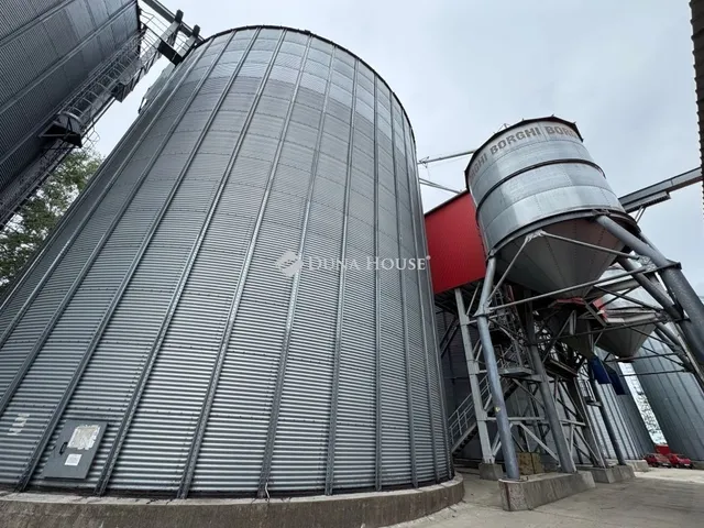 Eladó kereskedelmi és ipari ingatlan Szentkirály 3000 nm
