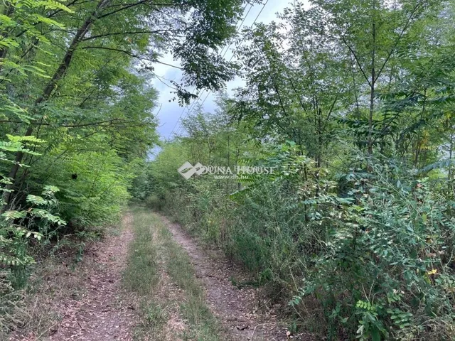 Eladó mezőgazdasági ingatlan Kunadacs 4185 nm