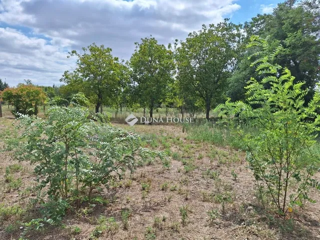 Eladó mezőgazdasági ingatlan Kecskemét 30 nm