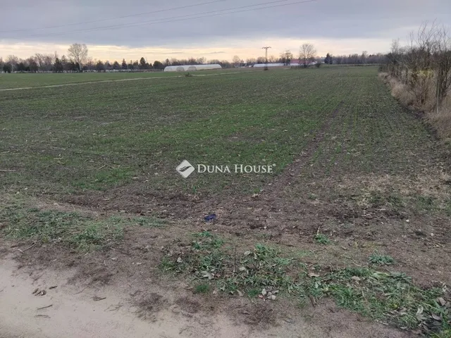 Eladó telek Kecskemét 21826 nm