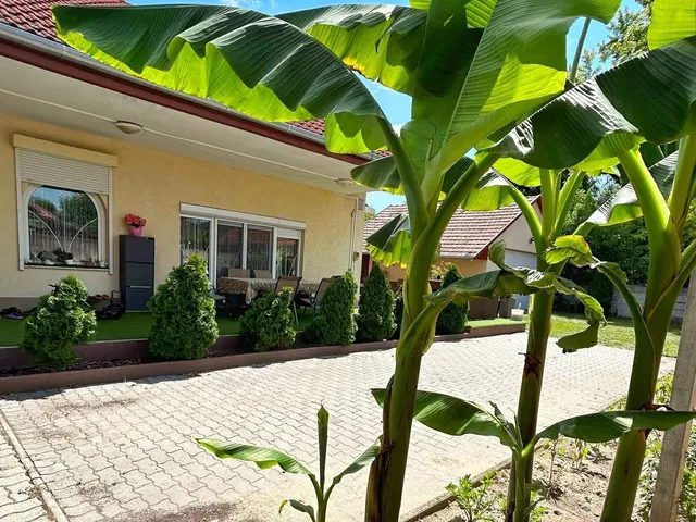 Eladó ház Baja, Szállásváros, Nagy Lajos király utca  317 nm